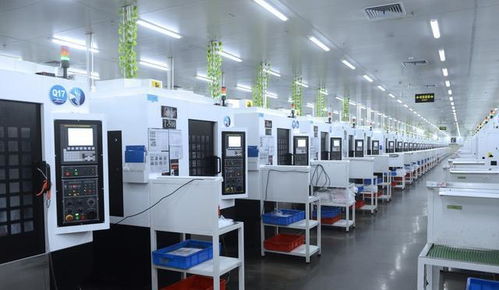 小王的成長之路 從技術開發到加工公司的核心力量